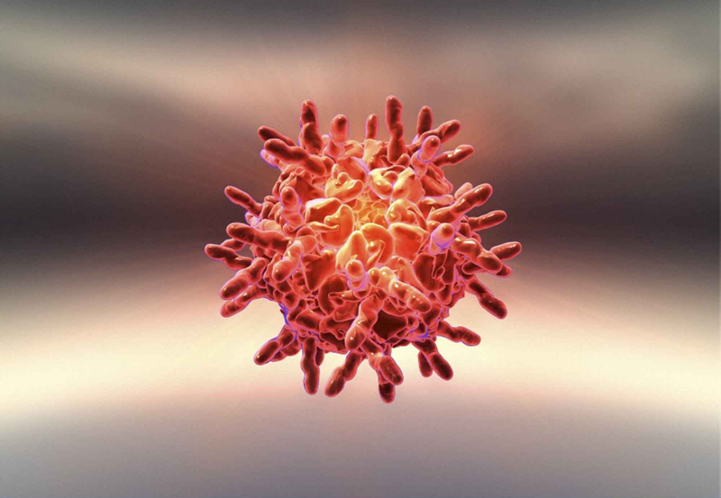  Rhinovirus là tác nhân thường gây nhiễm trùng đường hô hấp