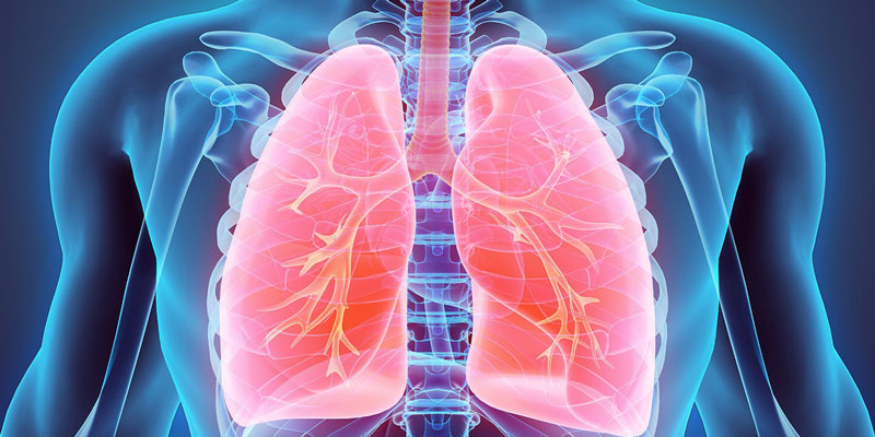 Khi bạn mắc bệnh nhiễm trùng đường hô hấp dưới, khí quản và phổi thường bị tổn thương