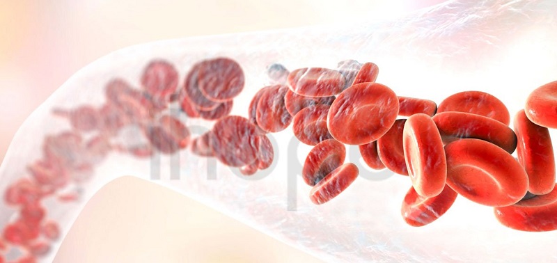 Thalassemia là bệnh tan máu có tính di truyền