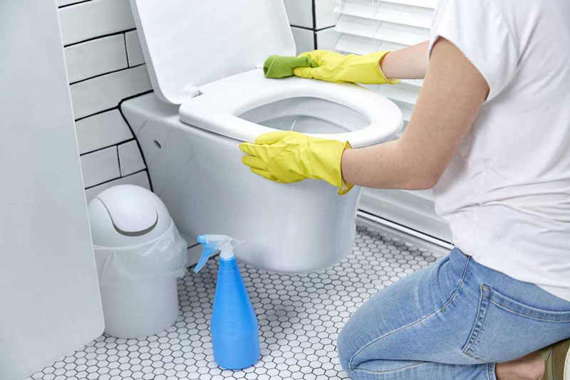 Giữ vệ sinh cá nhân và vệ sinh nhà cửa sạch sẽ