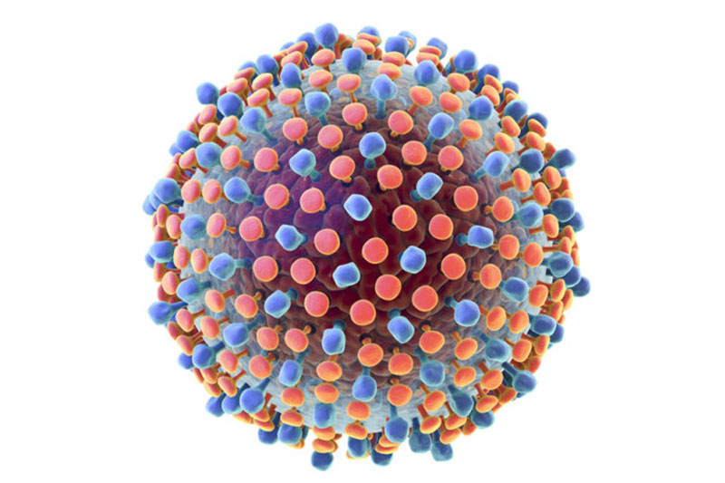 Virus gây bệnh viêm gan C có thể lây truyền từ người sang người