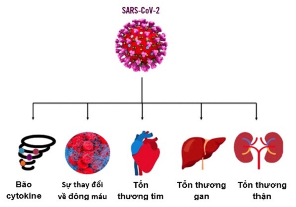 Những thay đổi do nhiễm SARS-CoV-2 