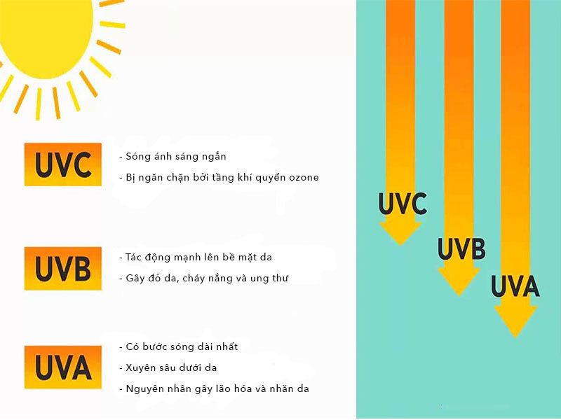 Những ảnh hưởng do từng loại tia UV gây ra