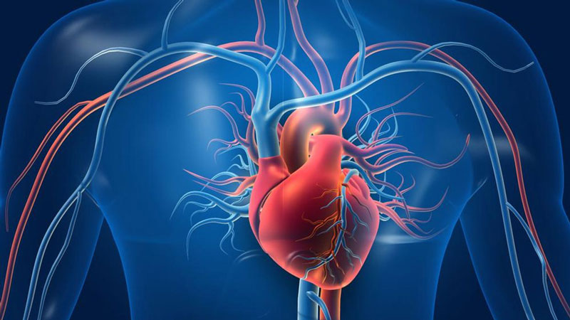 Nếu không điều trị kịp thời, tim mạch có nguy cơ tổn thương vĩnh viễn