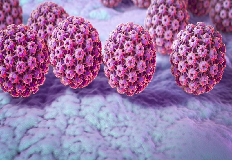 Virus HPV là nhóm virus xuất hiện trong hầu hết các trường hợp ung thư hậu môn