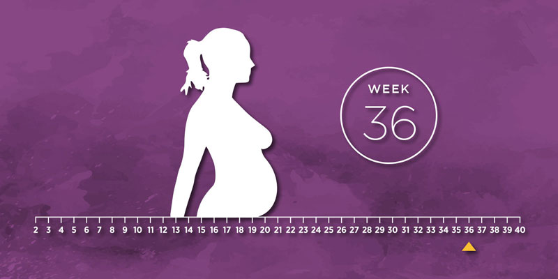 Khi mang thai được 36 tuần, mẹ bầu chuẩn bị đón em bé chào đời