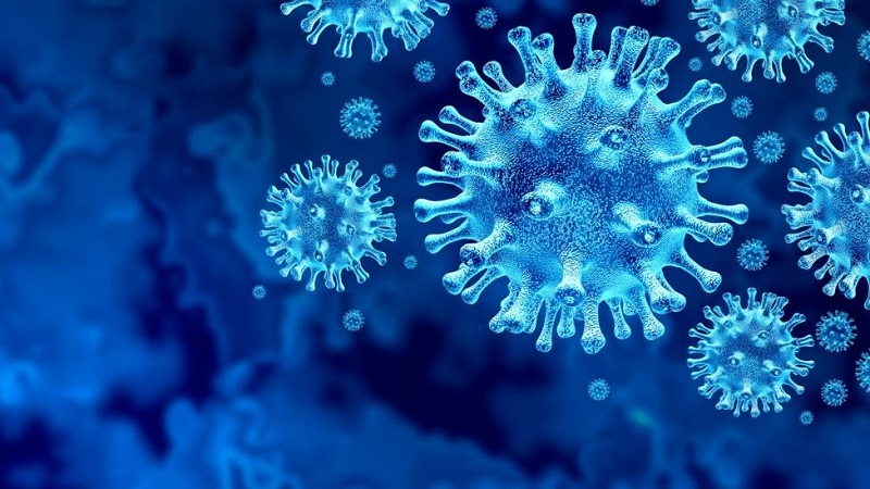 Virus SARS-CoV-2 có thể tấn công và gây tổn thương tế bào gan
