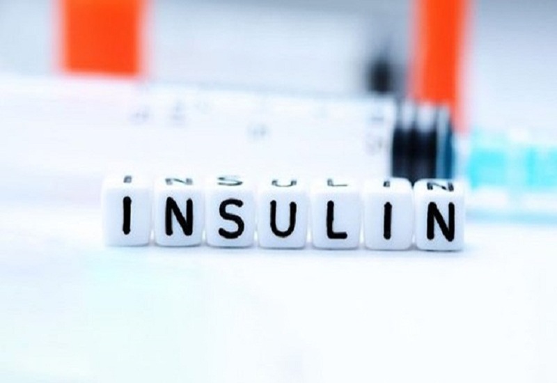 Insulin được tiết ra chủ yếu từ tuyến tụy