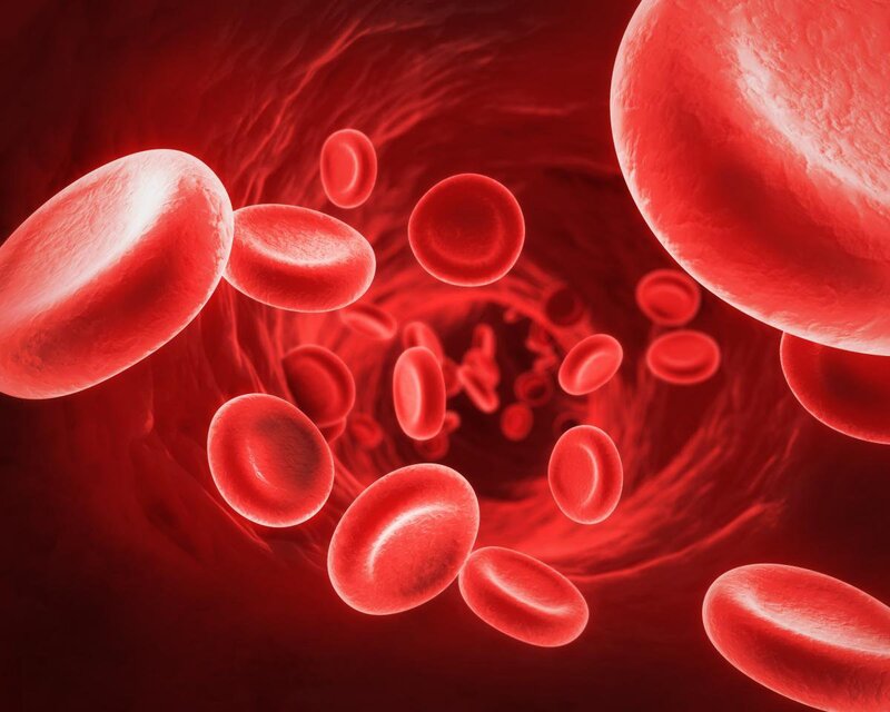 Hồng cầu là tế bào máu có vai trò vận chuyển oxy
