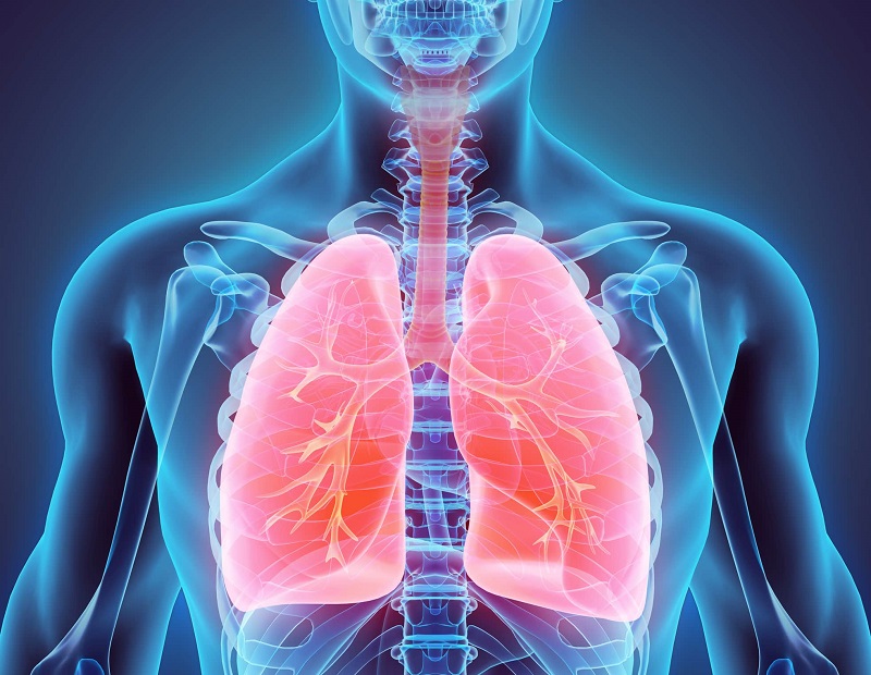 Tránh những tác nhân gây hại cho lá phổi