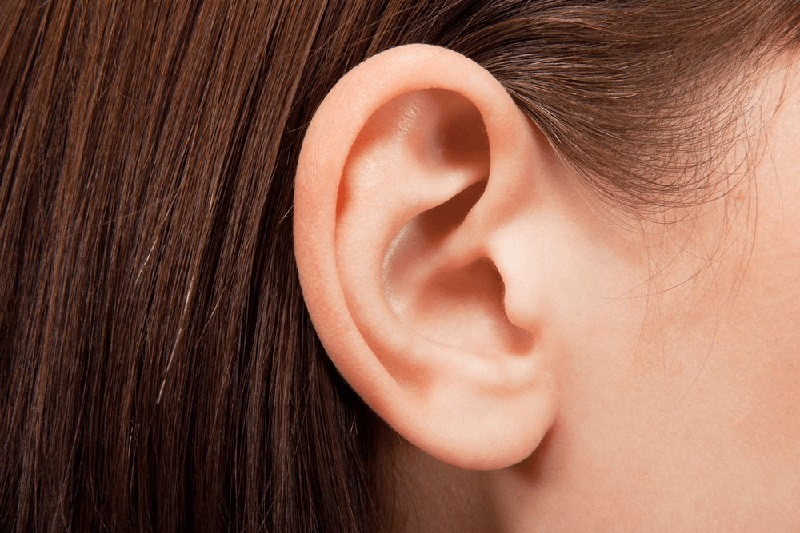 Vành tai rất dễ bị tổn thương và nhiễm trùng