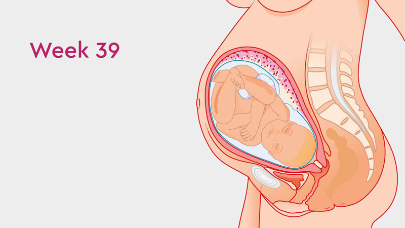 Thai 39 tuần tuổi đã phát triển hầu hết các cơ quan