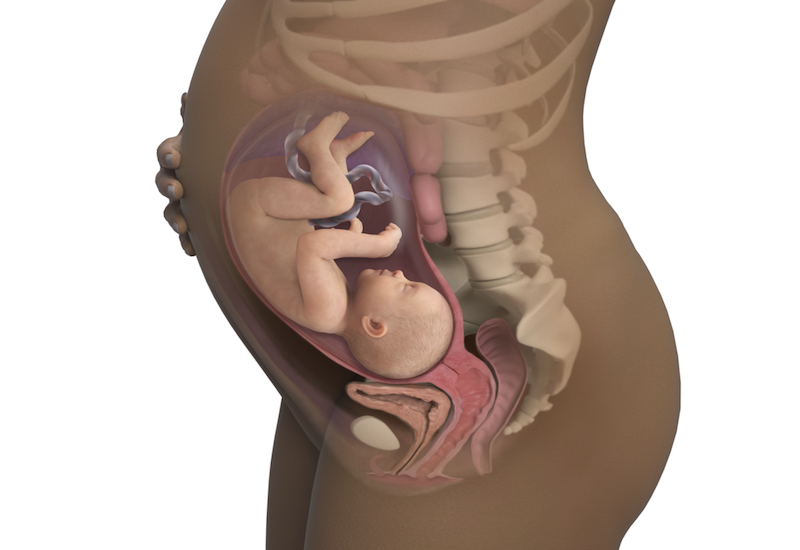 Giai đoạn mang thai dễ khiến cho các mẹ bầu bị bệnh đau xương cụt