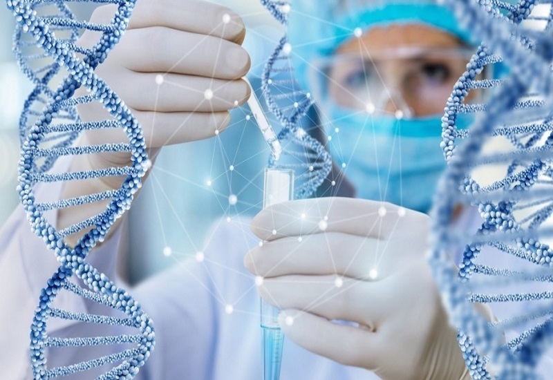 Xét nghiệm ADN giúp xác định mối quan hệ huyết thống của những người tham gia thực hiện xét nghiệm