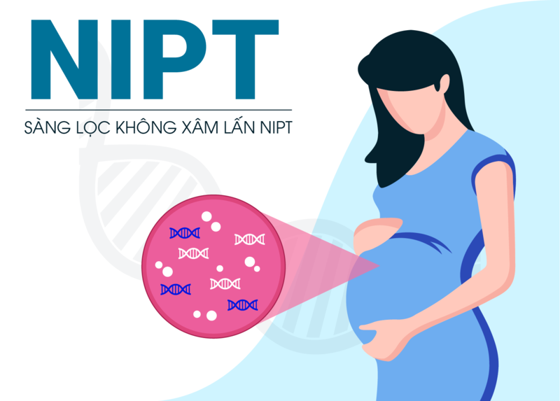 Phụ nữ mang thai lớn tuổi hoặc mắc bệnh di truyền nên sàng lọc bằng xét nghiệm NIPT