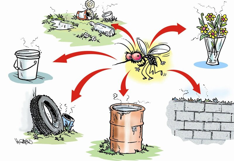 Để phòng bệnh sốt xuất huyết, cần vệ sinh nhà cửa sạch sẽ, nhất là nơi muỗi có thể đẻ trứng