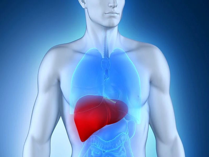 Các đối tượng mắc vấn đề về gan có thể chuyển biến nặng sang xơ gan