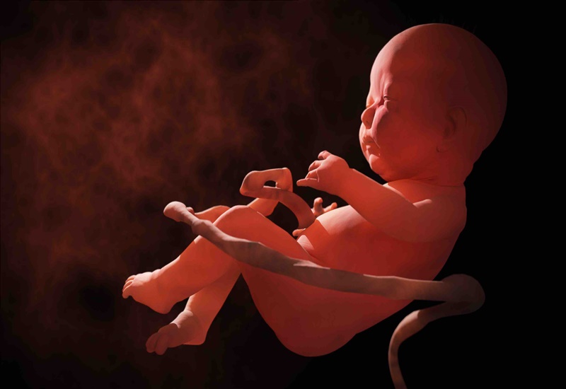 Suy thai có thể làm tăng nguy cơ thai chết lưu