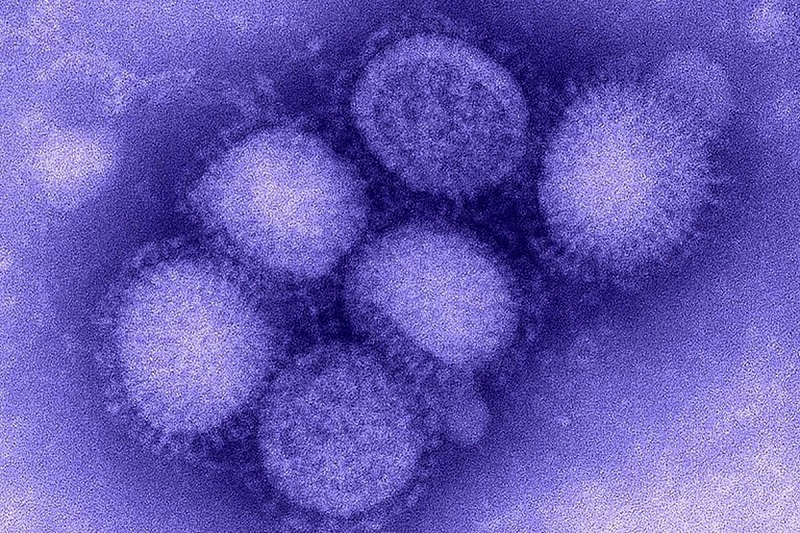 H1N1 chỉ là một trong nhiều dạng kháng nguyên của virus cúm A