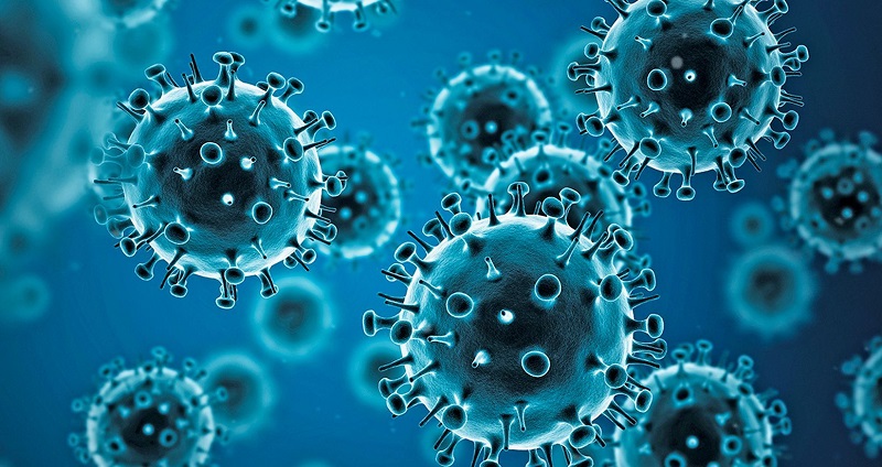 Virus cúm A có khả năng lây nhiễm qua đường hô hấp hoặc tiếp xúc với mầm bệnh
