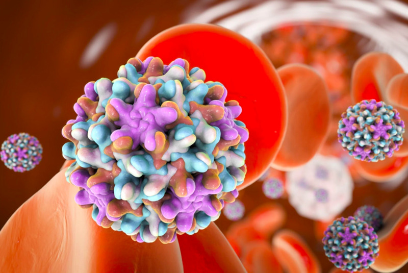 Xét nghiệm HBV-DNA giúp định lượng virus viêm gan B trong cơ thể