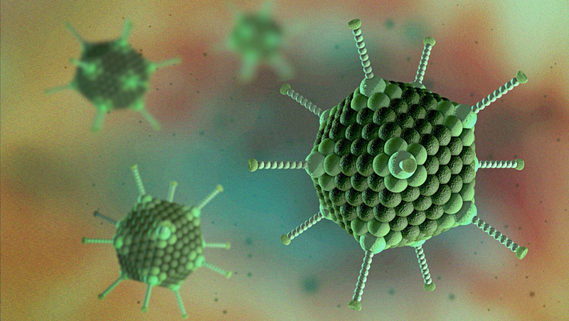 Adenovirus là virus gây bệnh viêm đường hô hấp