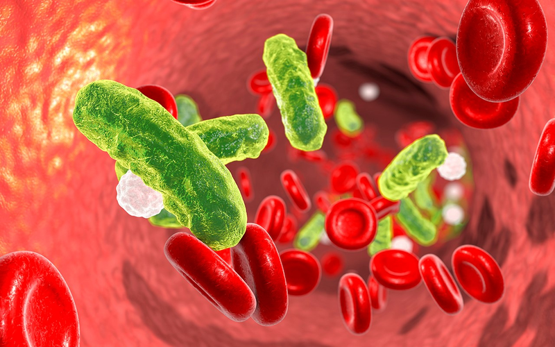 Nhiễm trùng huyết do phế cầu khuẩn có thể gây tử vong
