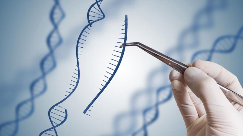 Xét nghiệm ADN là xét nghiệm di truyền