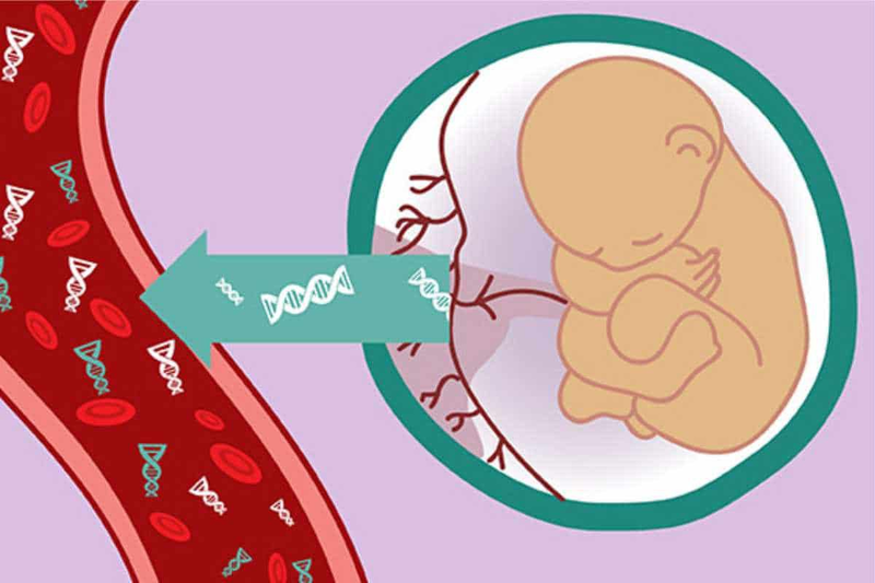 Xét nghiệm NIPT dựa trên phân tích ADN tự do của thai nhi trong máu mẹ