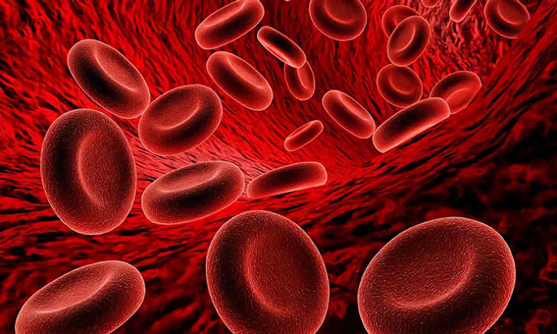 Thiếu máu là hiện tượng lượng máu trong cơ thể bị suy giảm hồng cầu so với bình thường