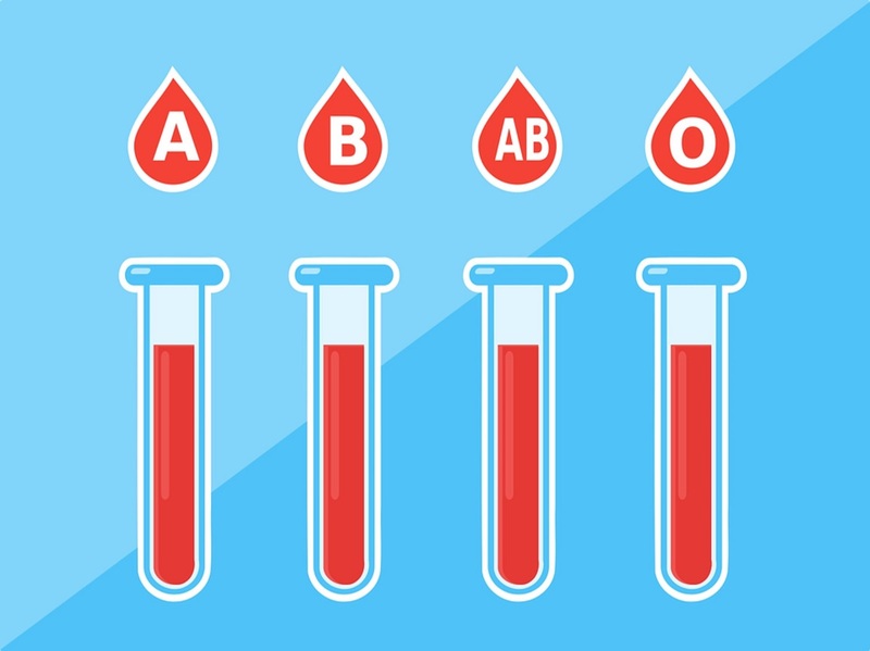 Nhóm máu của mỗi người được quyết định bởi gen