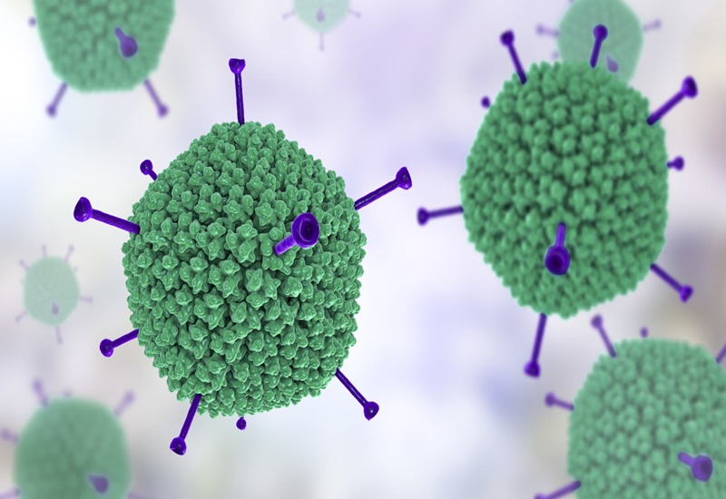 Virus Adeno có thể tồn tại lâu trong môi trường và có nguy cơ lây lan nhanh