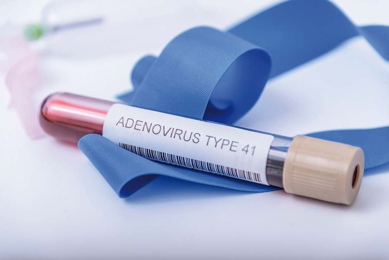 Test nhanh Adenovirus giúp phát hiện Adenovirus type 40, 41 và Rotavirus Ag