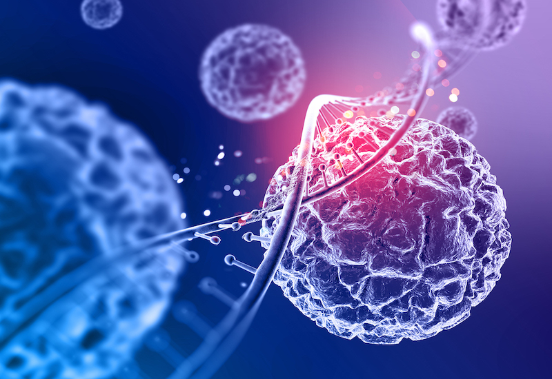 Tế bào ung thư có khả năng làm thay đổi cấu trúc gen của tế bào