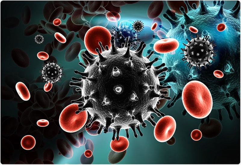 Virus HIV tấn công và làm suy yếu hệ miễn dịch