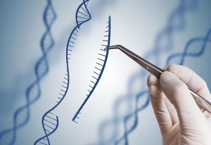 Xét nghiệm ADN có thể khẳng định hai chị em gái có cùng bố hay không