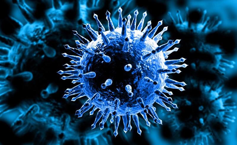 Virus gây bệnh cúm A gây ra nhiều dạng bệnh khác nhau