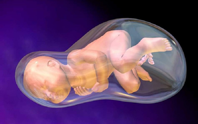 Hiện tượng cạn ối càng xảy ra sớm thì càng nguy hiểm cho thai nhi
