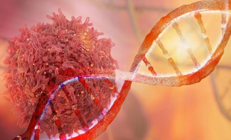 Xét nghiệm ung thư di truyền ước tính nguy cơ mắc phải ung thư của một người liên quan đến gene di truyền trong gia đình 