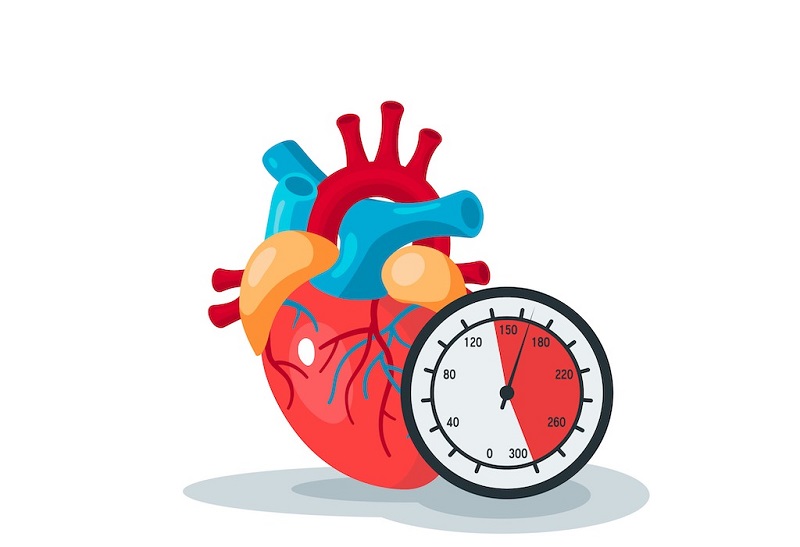Huyết áp tăng cao đột ngột rất nguy hiểm cho tim mạch, não bộ