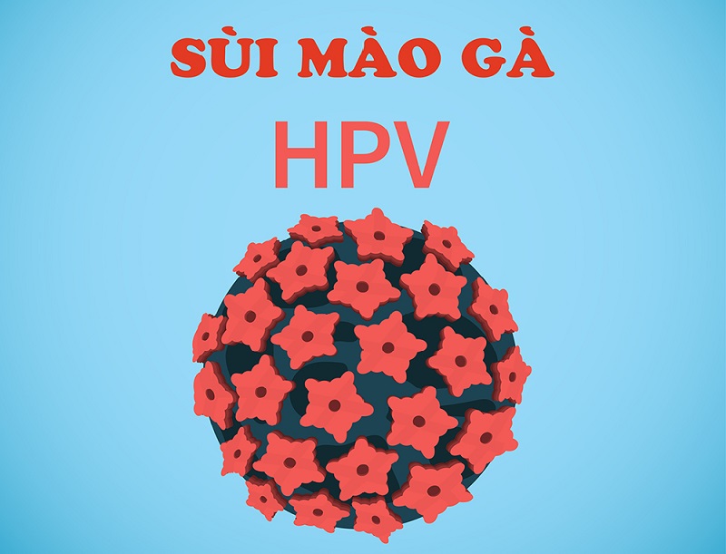 Hình dạng virus HPV gây ra bệnh sùi mào gà