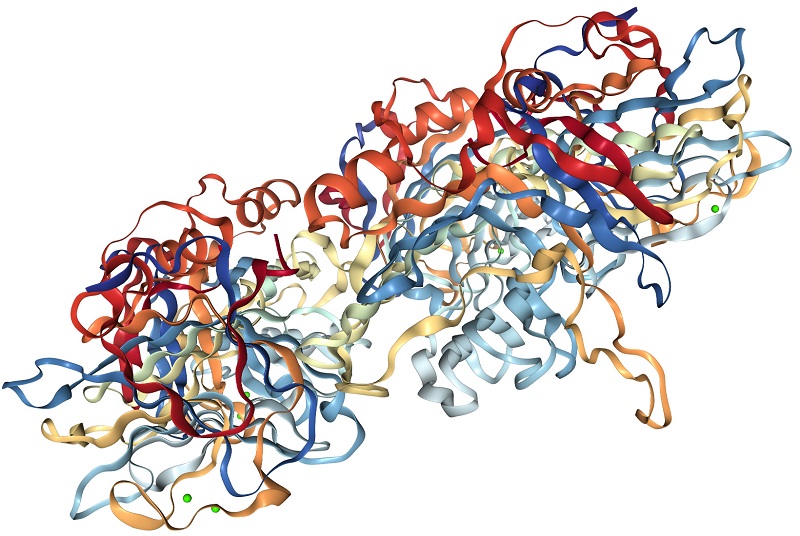 CRP là một cấu trúc phân tử protein 