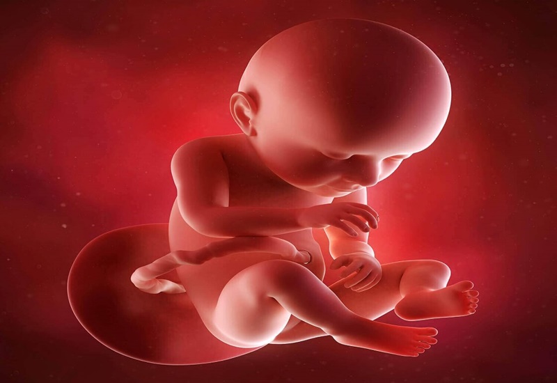 Ngứa vùng kín ở mẹ bầu có thể gây ảnh hưởng đến sự phát triển của thai nhi