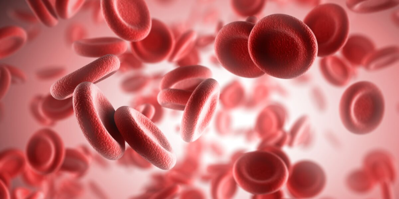 Tiểu cầu đóng một vai trò thiết yếu trong các giai đoạn đông máu nhất định