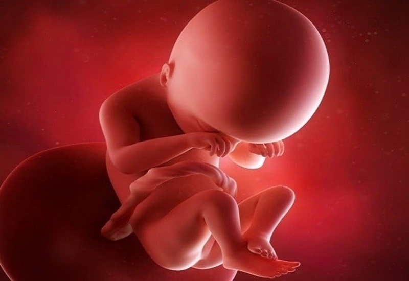 Các giác quan của thai nhi nhạy cảm hơn từ tuần thai thứ 19