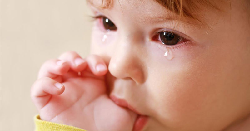 Khi mắc bệnh, bé chảy nước mắt liên tục