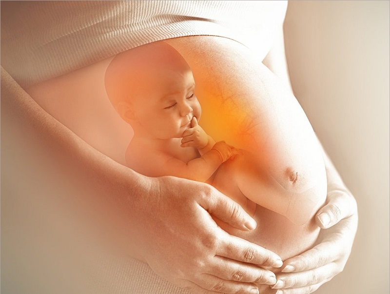 Từ tuần 20 của thai kỳ, mẹ có thể cảm nhận rõ các cử động của bé