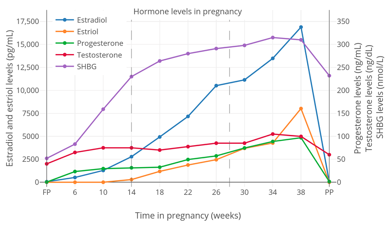 Thay đổi hormone trong 3 tháng đầu khiến mẹ bầu hay đi tiểu đêm