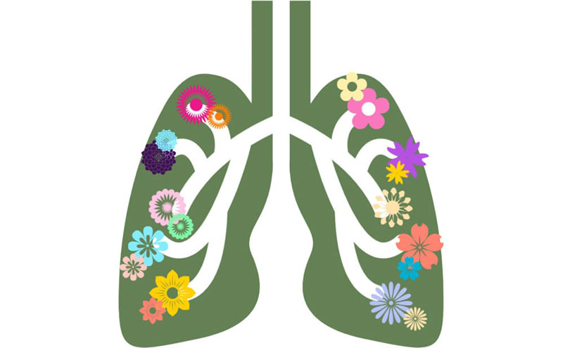 Chúng ta cần nắm được đặc điểm cấu tạo của phổi