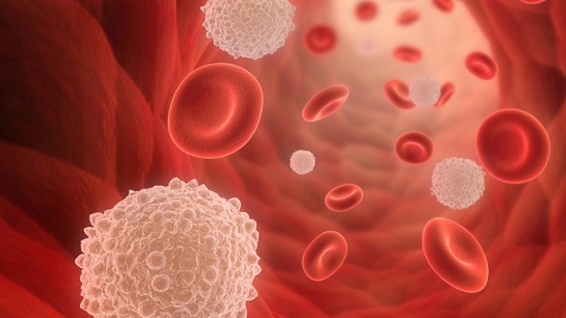 Chỉ số máu trong bạch cầu có dấu hiệu giảm khi người bệnh nhiễm siêu vi